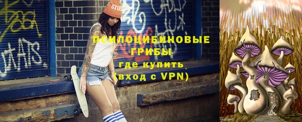 таблы Шали