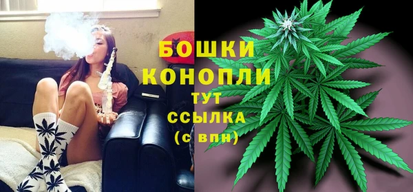 дмт Щигры