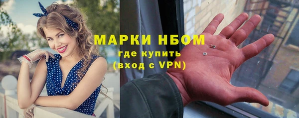 дмт Щигры