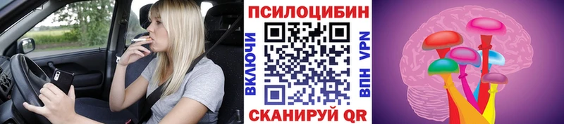 Купить где  Пикалёво  Псилоцибиновые грибы Magic Shrooms